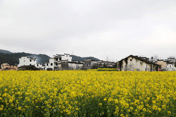 上饶市 婺源县 思溪延村景区