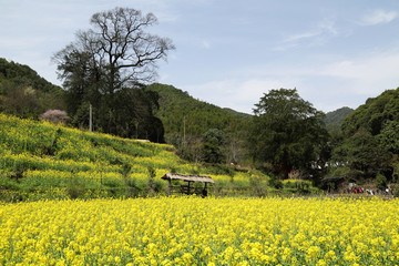 上饶市 婺源县 源头古村景区