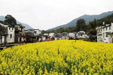 婺源县 庆源古村