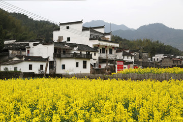 婺源县 庆源古村