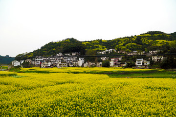 黄山市 歙县 山水画廊景区