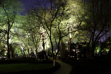 西湖景区 柳浪闻莺公园 夜景