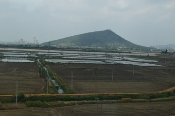 一望无际的田野