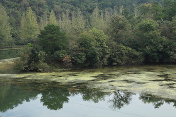 湖光山色 湖泊