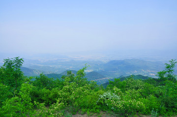 青山绿水