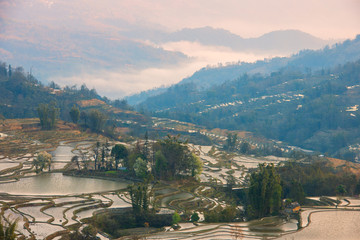 元阳梯田