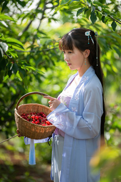 櫻桃園里的美女