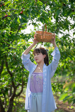 采摘櫻桃的美女