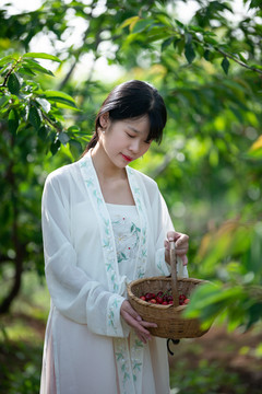 采摘樱桃的美女