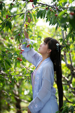 樱桃园里的美女