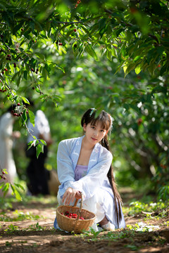 櫻桃園里的美女