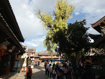 束河古镇风景