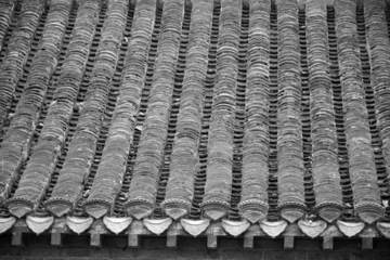 古代青瓦屋顶