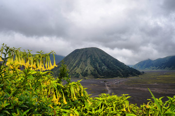 布罗莫火山口