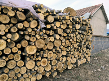 房屋旁的原木堆