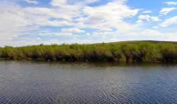 蒙古草原湖泊水草