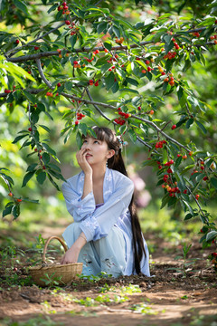 采摘樱桃的美女