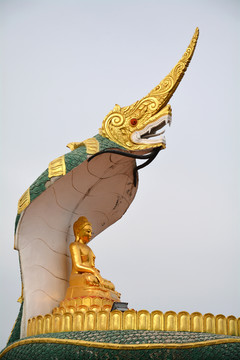 缅甸蛇塔