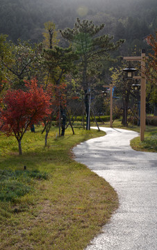 园林小路