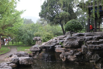 公园 美景 小雨