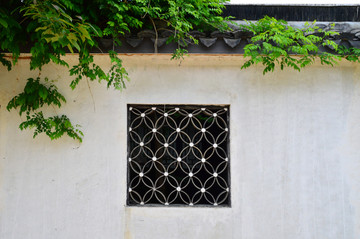 围墙花窗绿植