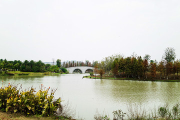 瑶湖郊野森林公园