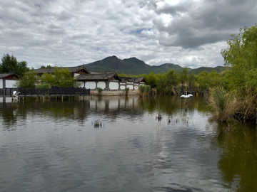 拉市海湿地公园风景