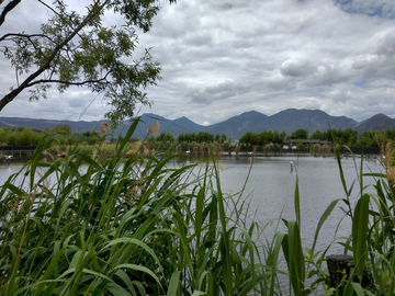 湿地湖畔风景