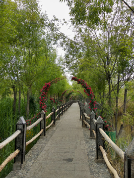 湿地公园风景