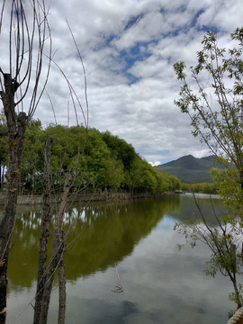 拉市海湿地公园风景