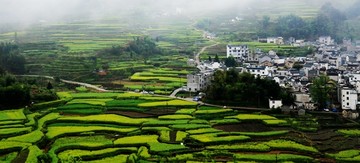 家朋鄉梅干嶺