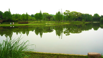 园林生态园风景