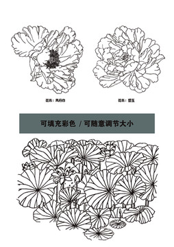 蔷薇花 荷花 荷叶 线图