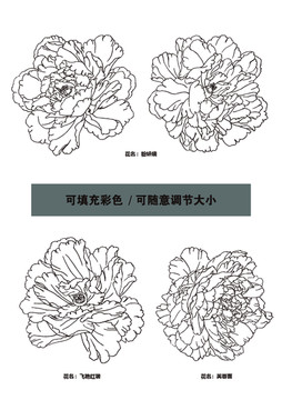 薔薇花線圖