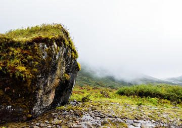 高原风景