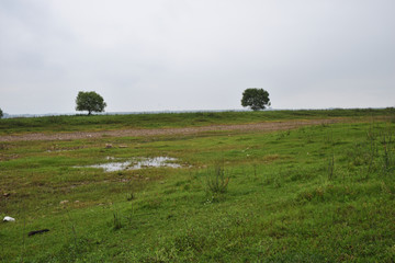 长江风光 草地 草坪 草原旅游