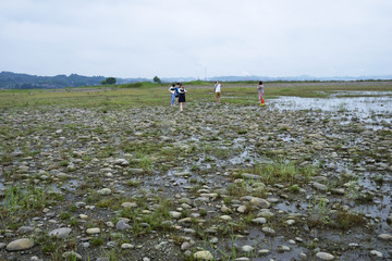 长江风光 草地 石头纹理 草原