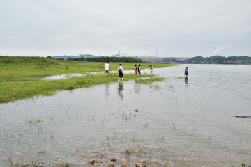 长江风光 草地 草坪