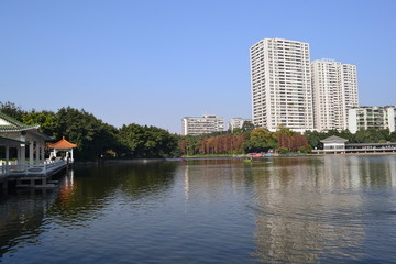 荔湖公园