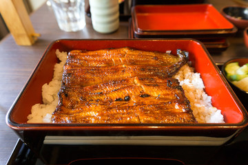 鳗鱼盖饭 鳗鱼丼