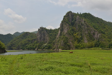 草地 山峰 河流