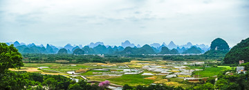 田园 峰林 阳朔风光