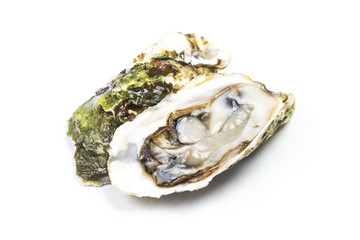 生蠔 牡蠣