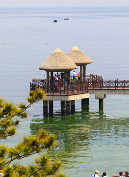 海草凉亭 海景图片 养马岛风光