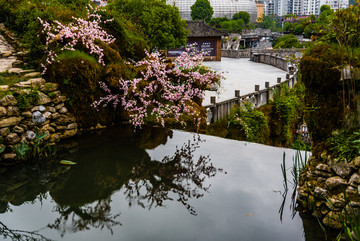 桃花源倒影