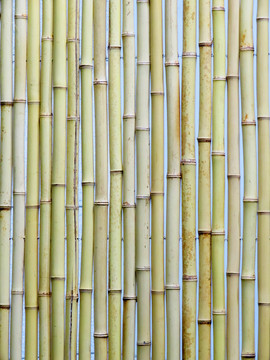 竹子墙面 竹竿