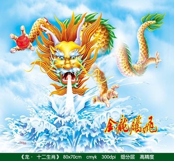 龍 生肖