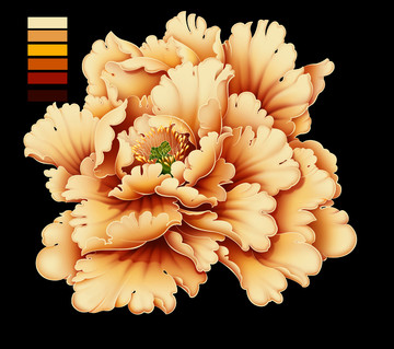 黃花葵
