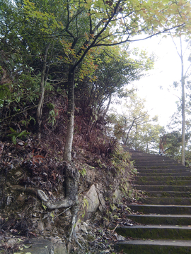山路