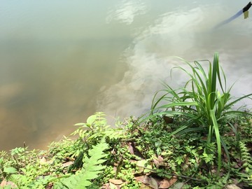 石门国家森林公园山水风景